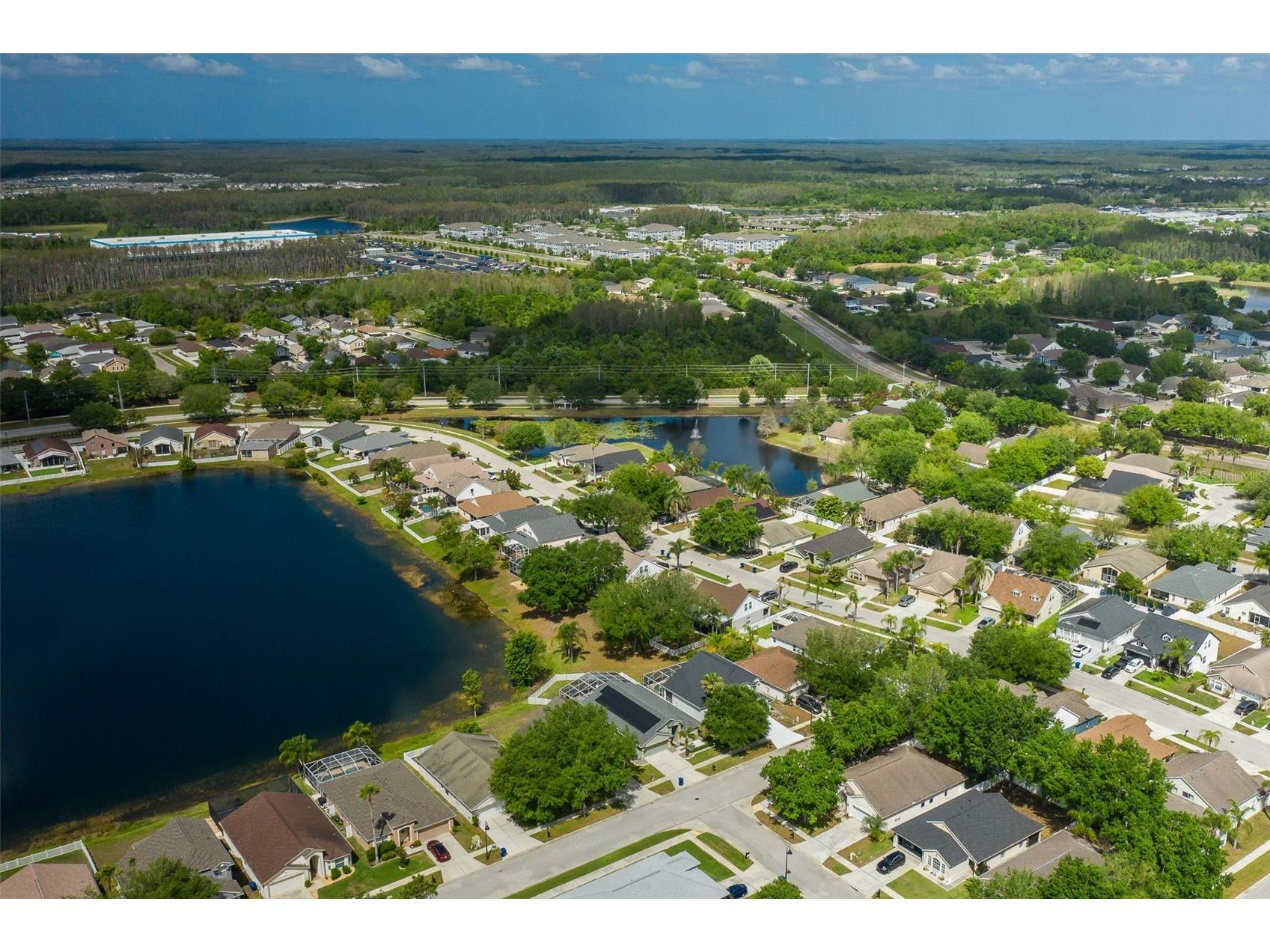 2851 Butterfly Landing Drive Land O Lakes FL 34638 W7884410 image62