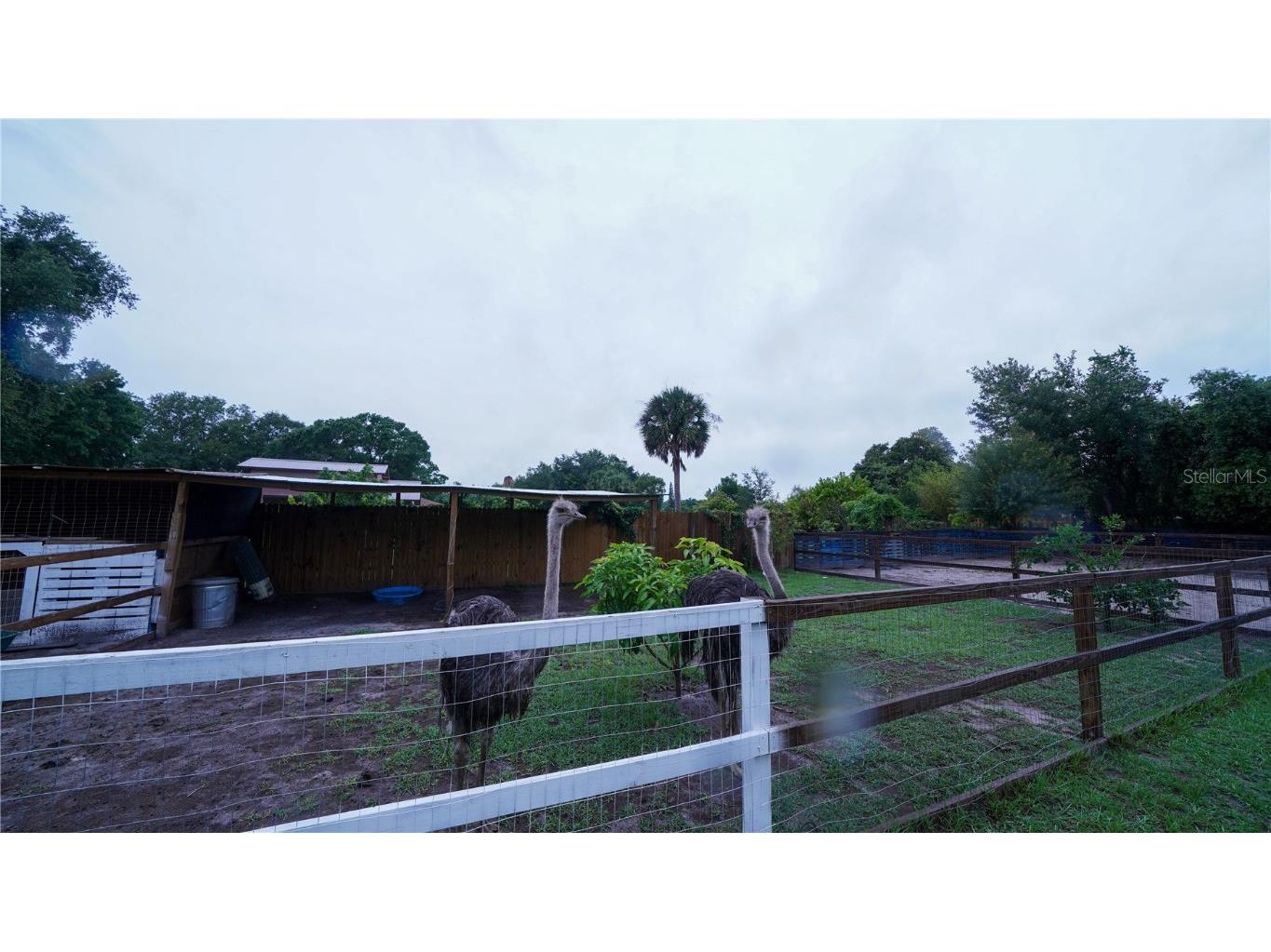 2851 Granada Boulevard Kissimmee FL 34746 S5128214 image54