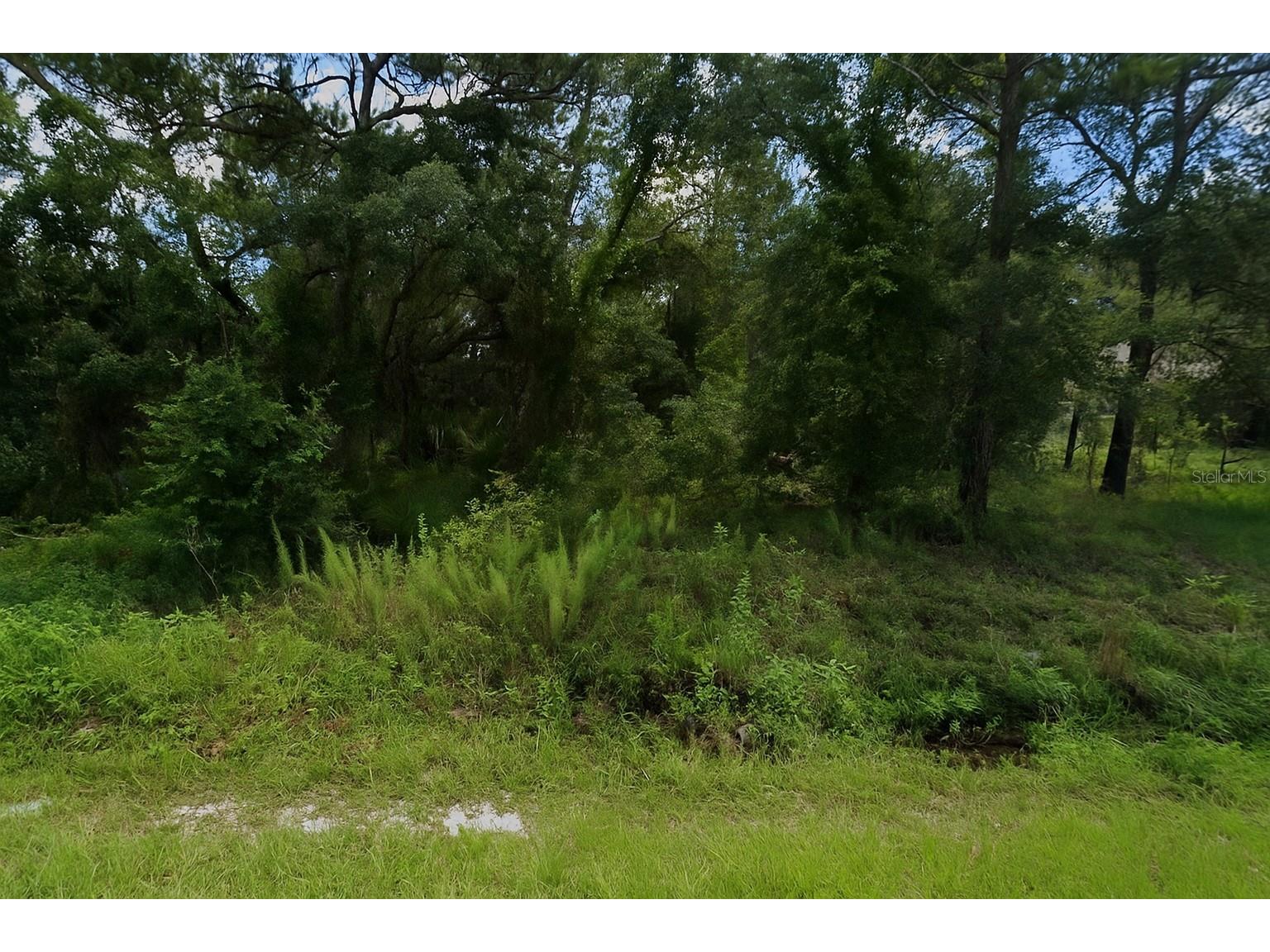 2851 Landover Boulevard Spring Hill FL 34608 A4680393 image1