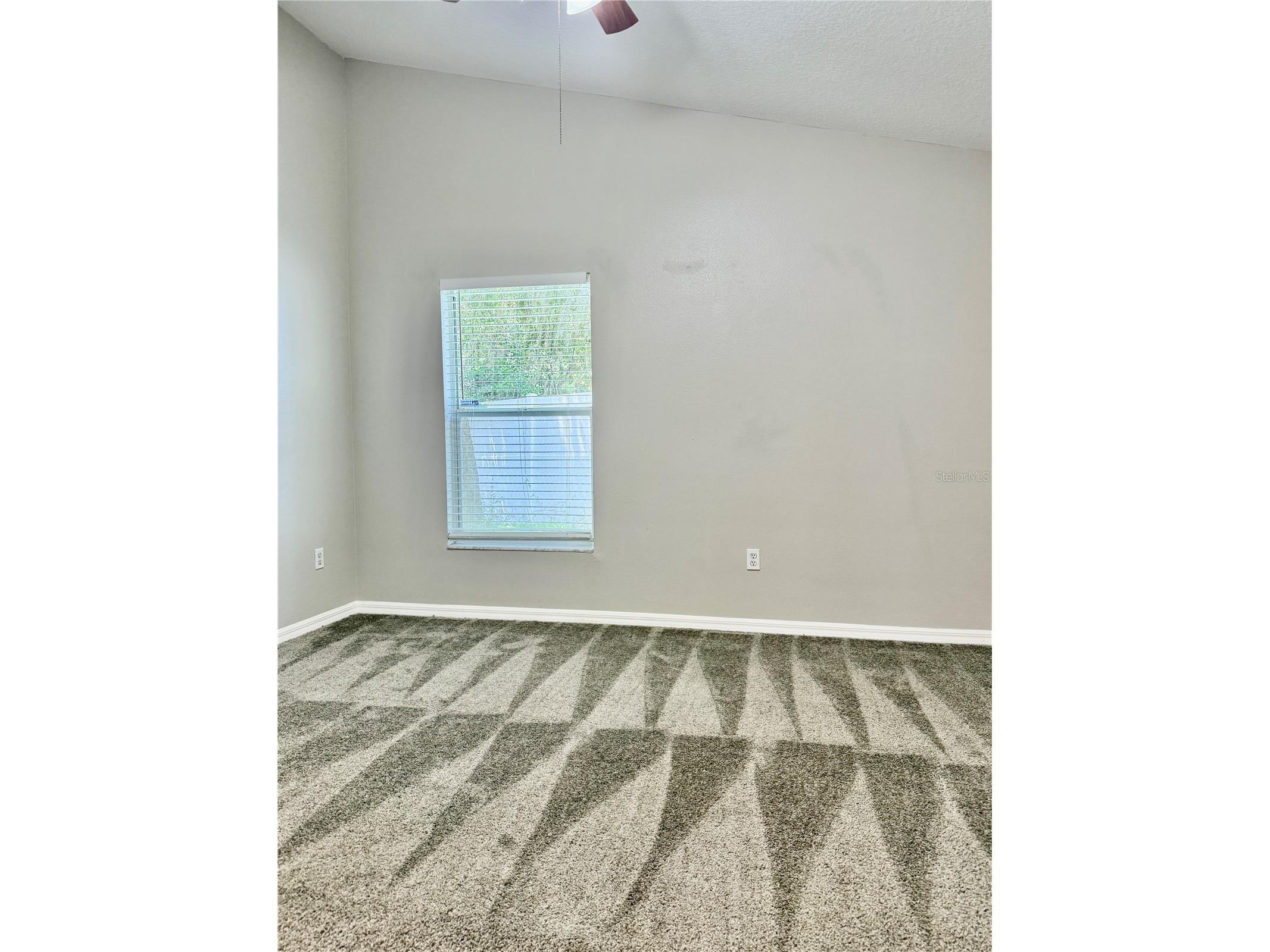 28510 Seashell Court Wesley Chapel FL 33545 TB8510027 image10