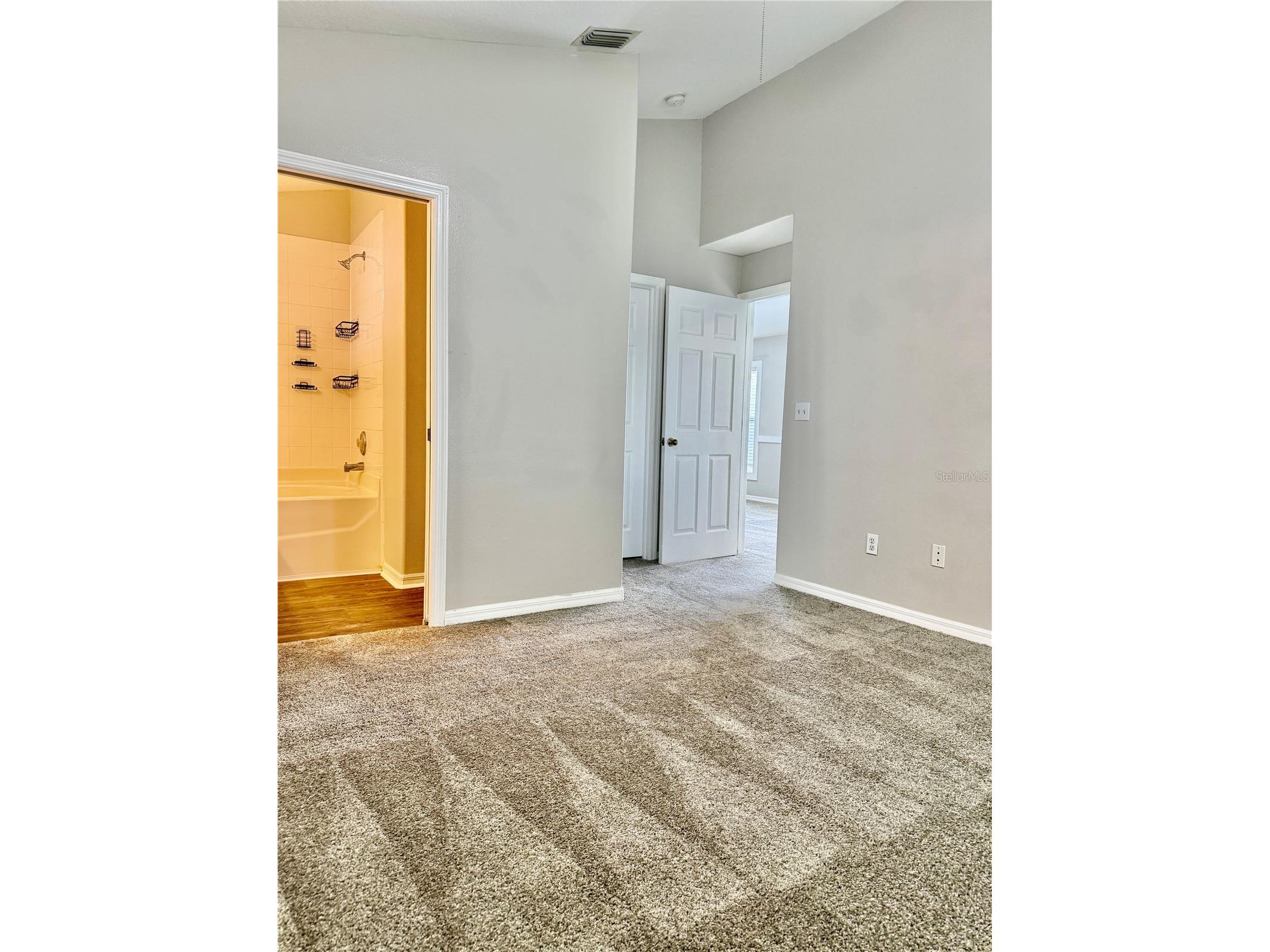 28510 Seashell Court Wesley Chapel FL 33545 TB8510027 image11