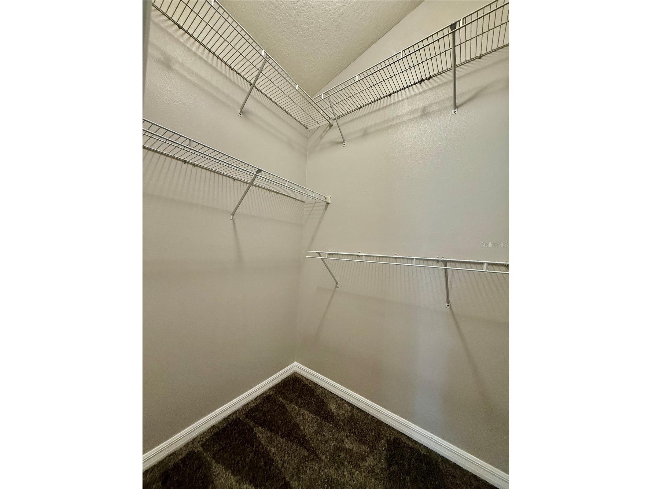 28510 Seashell Court Wesley Chapel FL 33545 TB8510027 image13