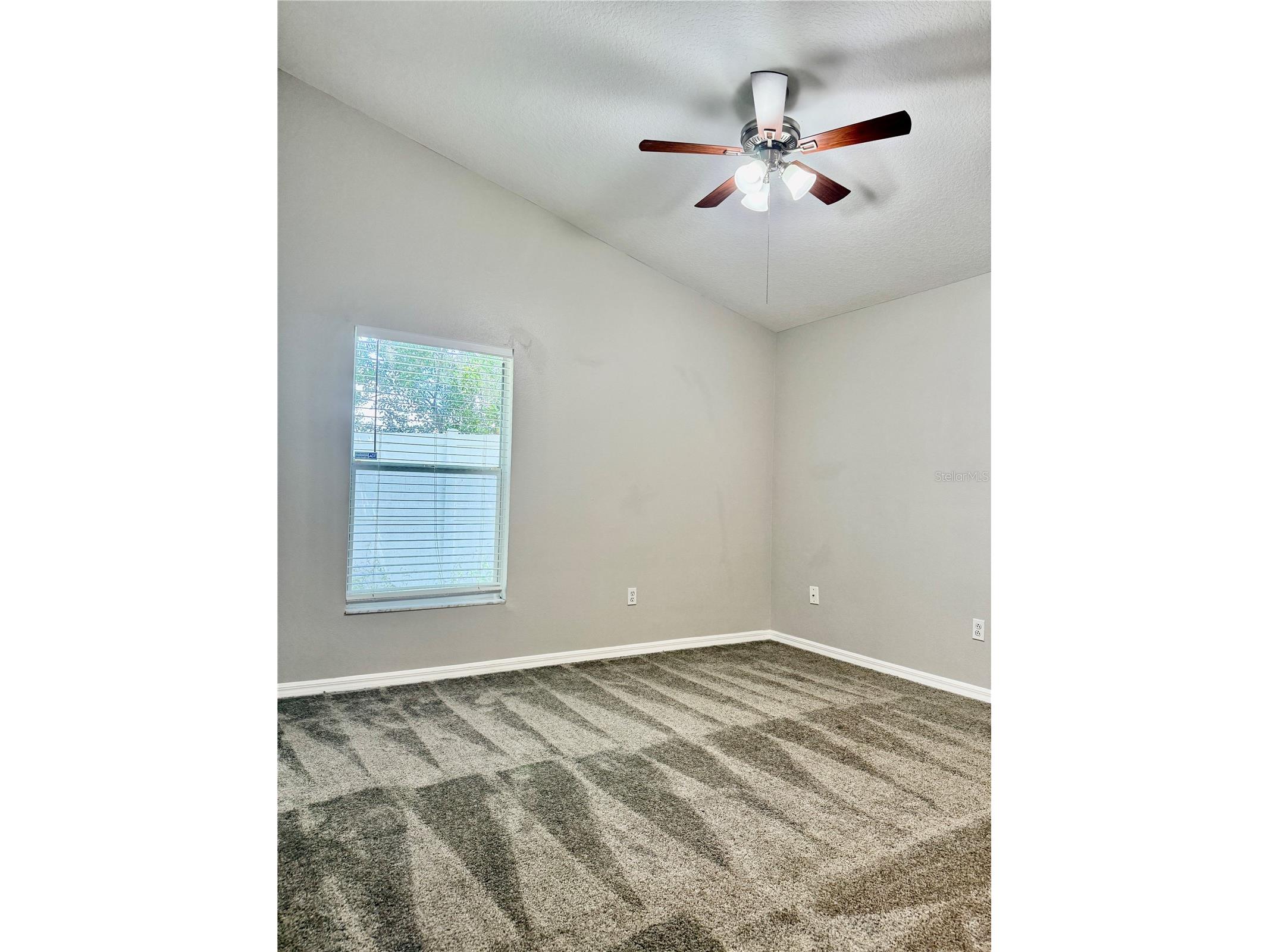 28510 Seashell Court Wesley Chapel FL 33545 TB8510027 image14