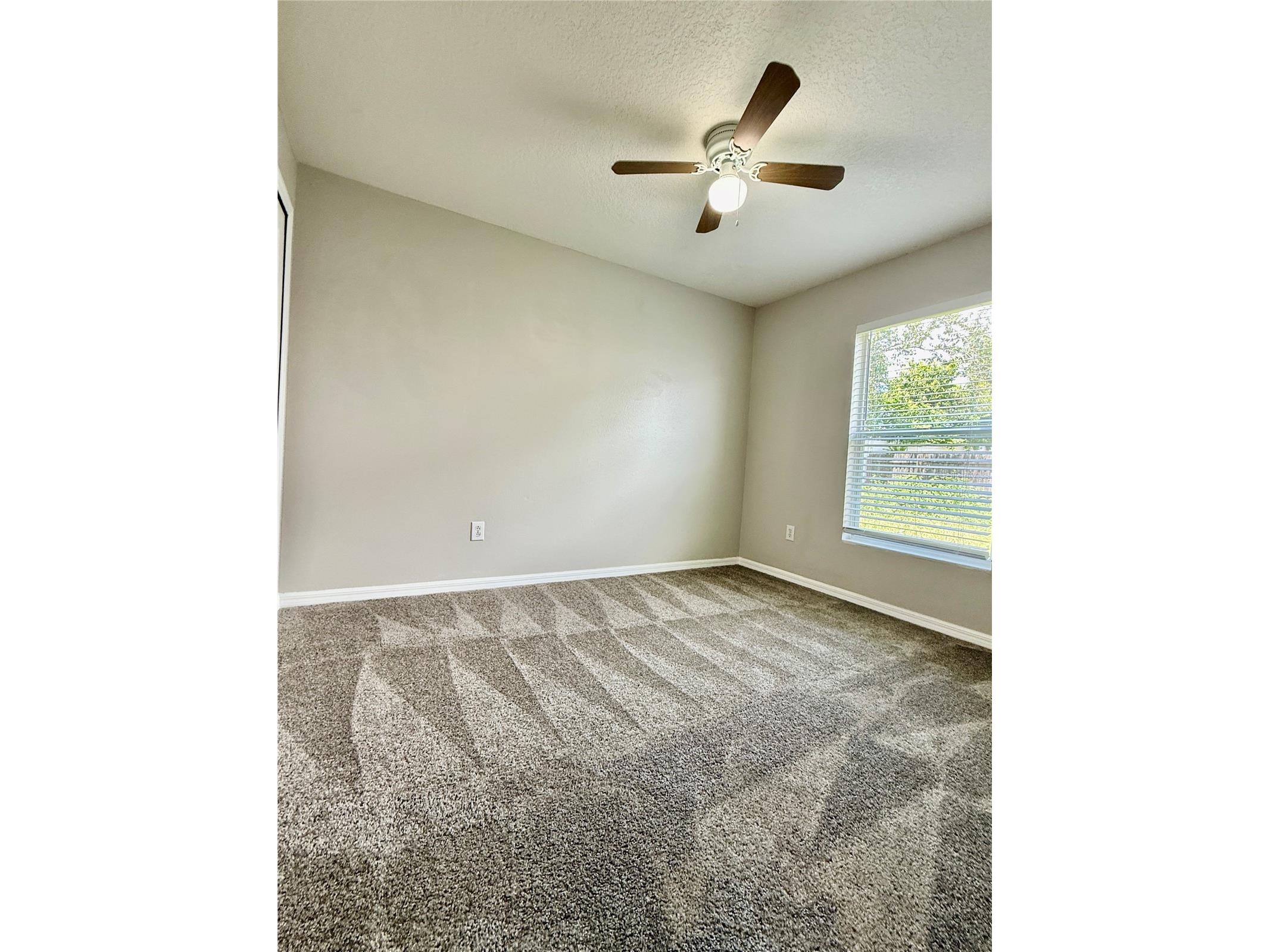 28510 Seashell Court Wesley Chapel FL 33545 TB8510027 image19