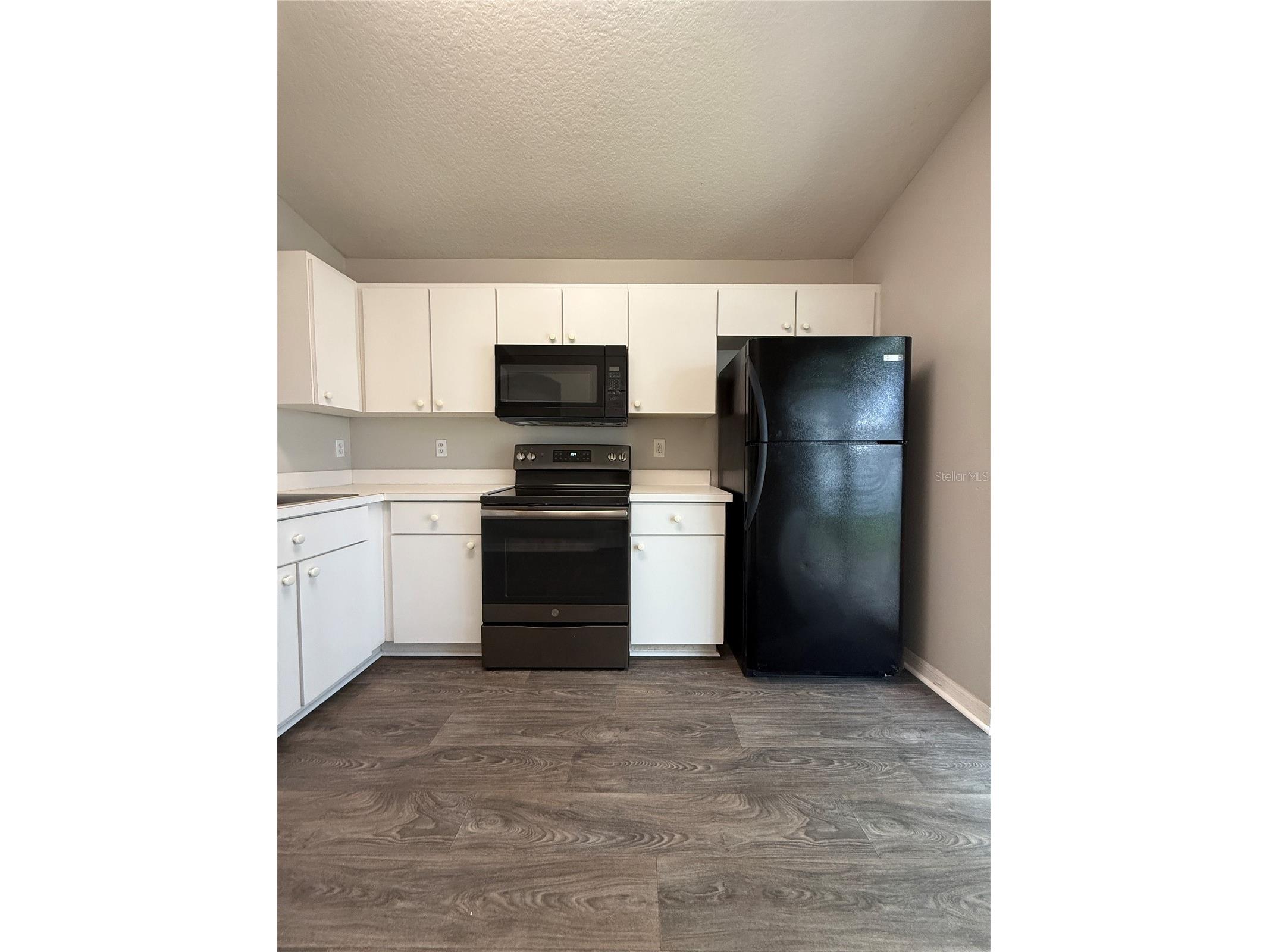 28510 Seashell Court Wesley Chapel FL 33545 TB8510027 image4
