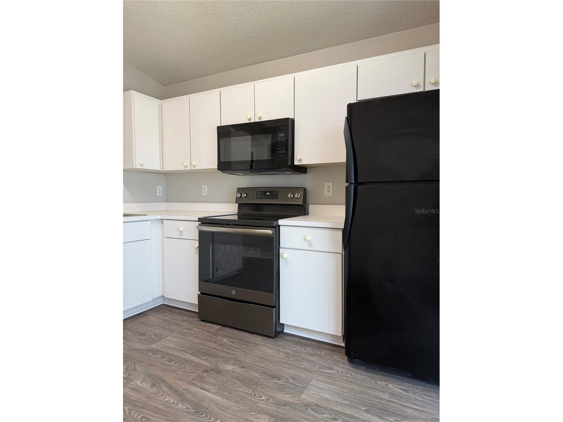 28510 Seashell Court Wesley Chapel FL 33545 TB8510027 image5