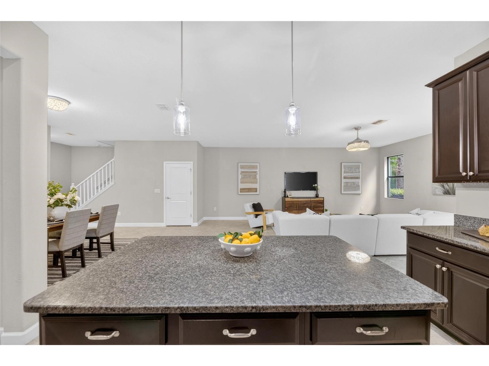 28511 Pleasant Bay Loop Wesley Chapel FL 33543 TB8516225 image20