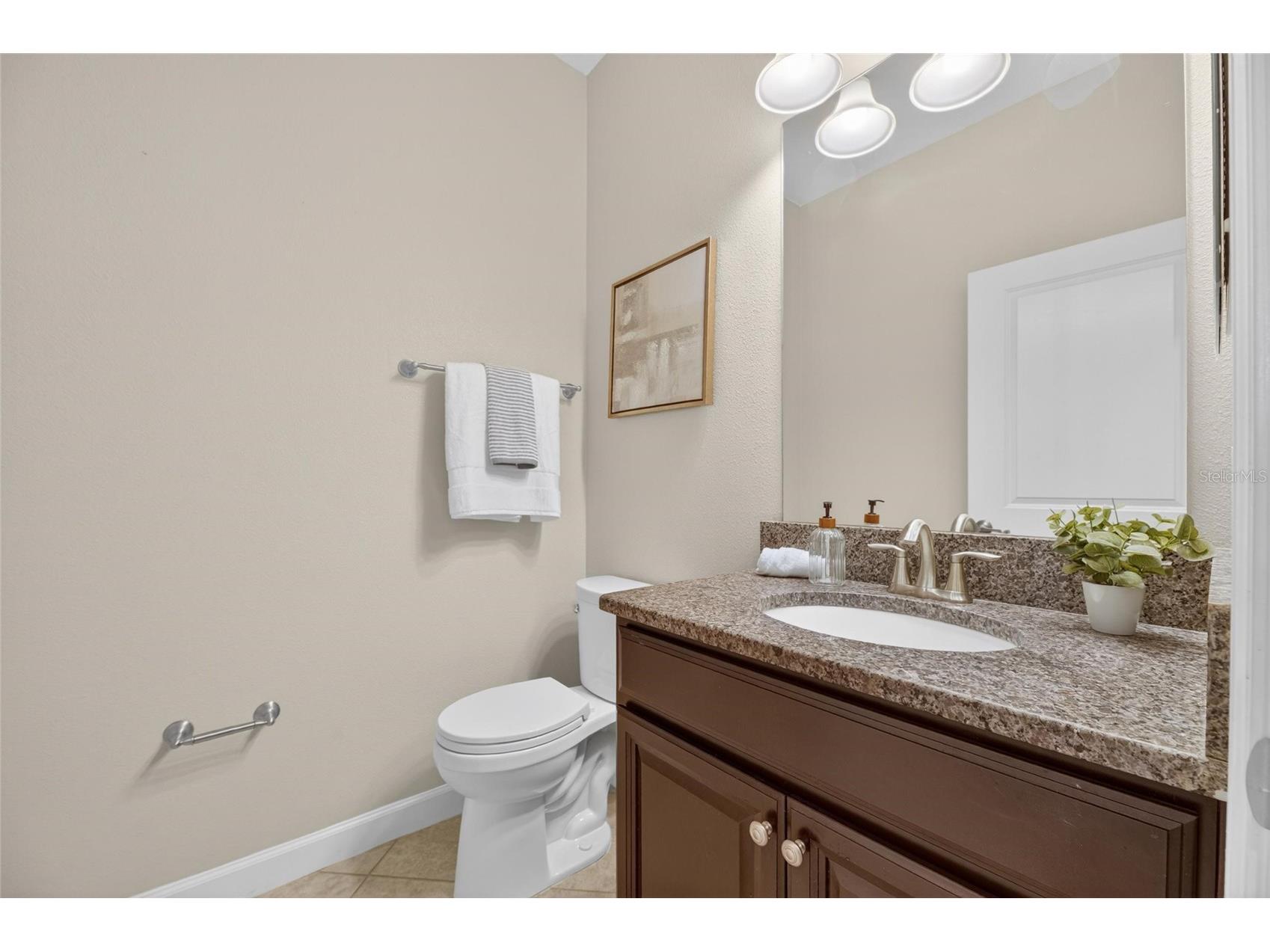 28511 Pleasant Bay Loop Wesley Chapel FL 33543 TB8516225 image28