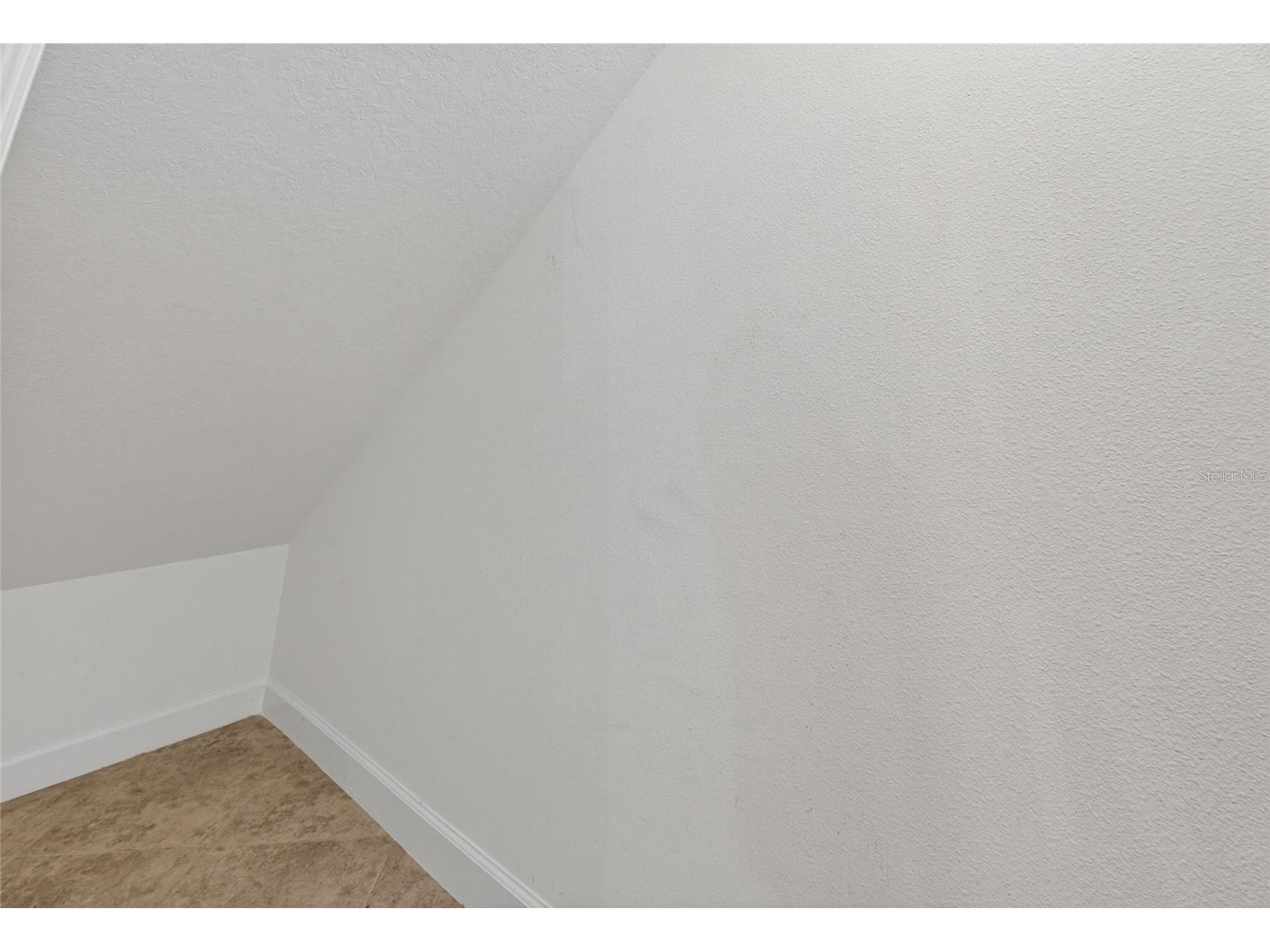 28511 Pleasant Bay Loop Wesley Chapel FL 33543 TB8516225 image29