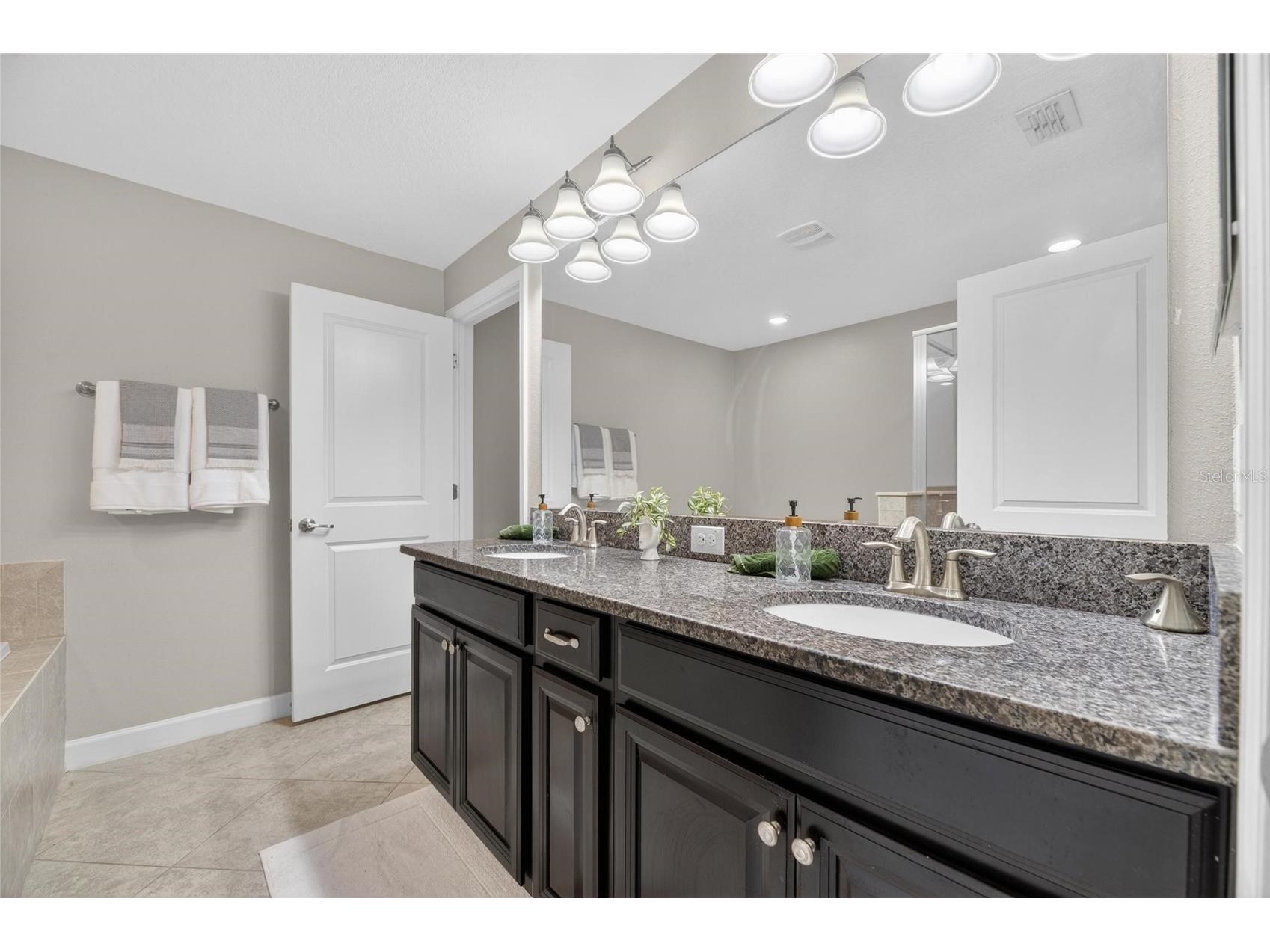 28511 Pleasant Bay Loop Wesley Chapel FL 33543 TB8516225 image41