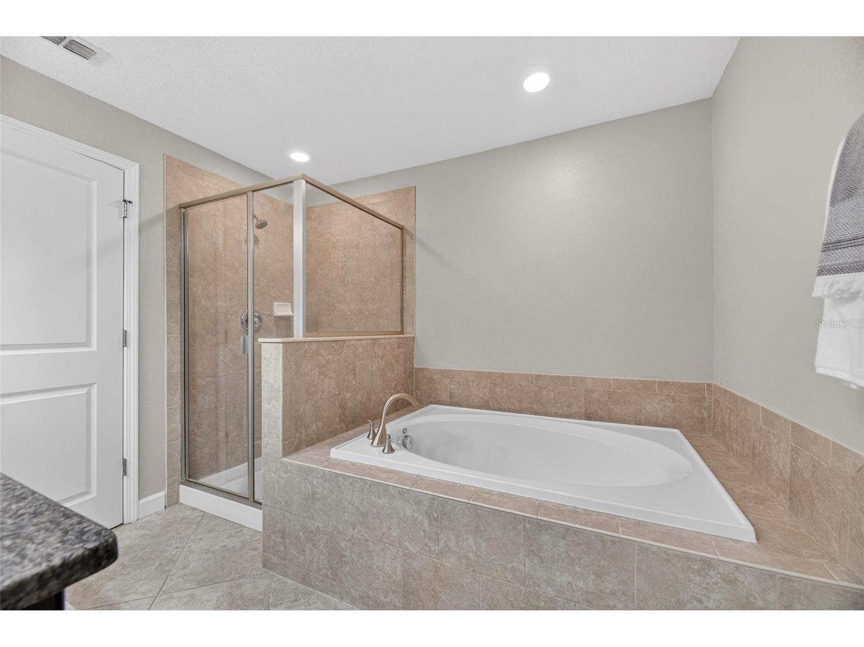 28511 Pleasant Bay Loop Wesley Chapel FL 33543 TB8516225 image42