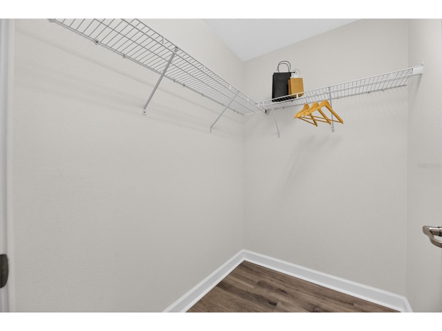 28511 Pleasant Bay Loop Wesley Chapel FL 33543 TB8516225 image44