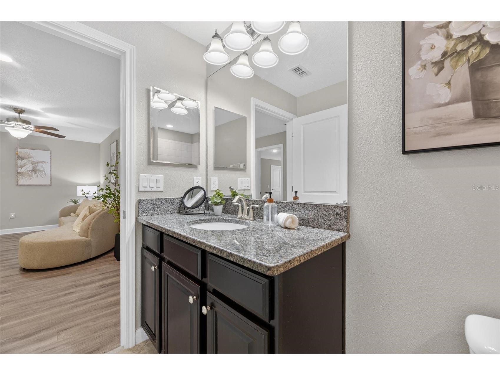 28511 Pleasant Bay Loop Wesley Chapel FL 33543 TB8516225 image53