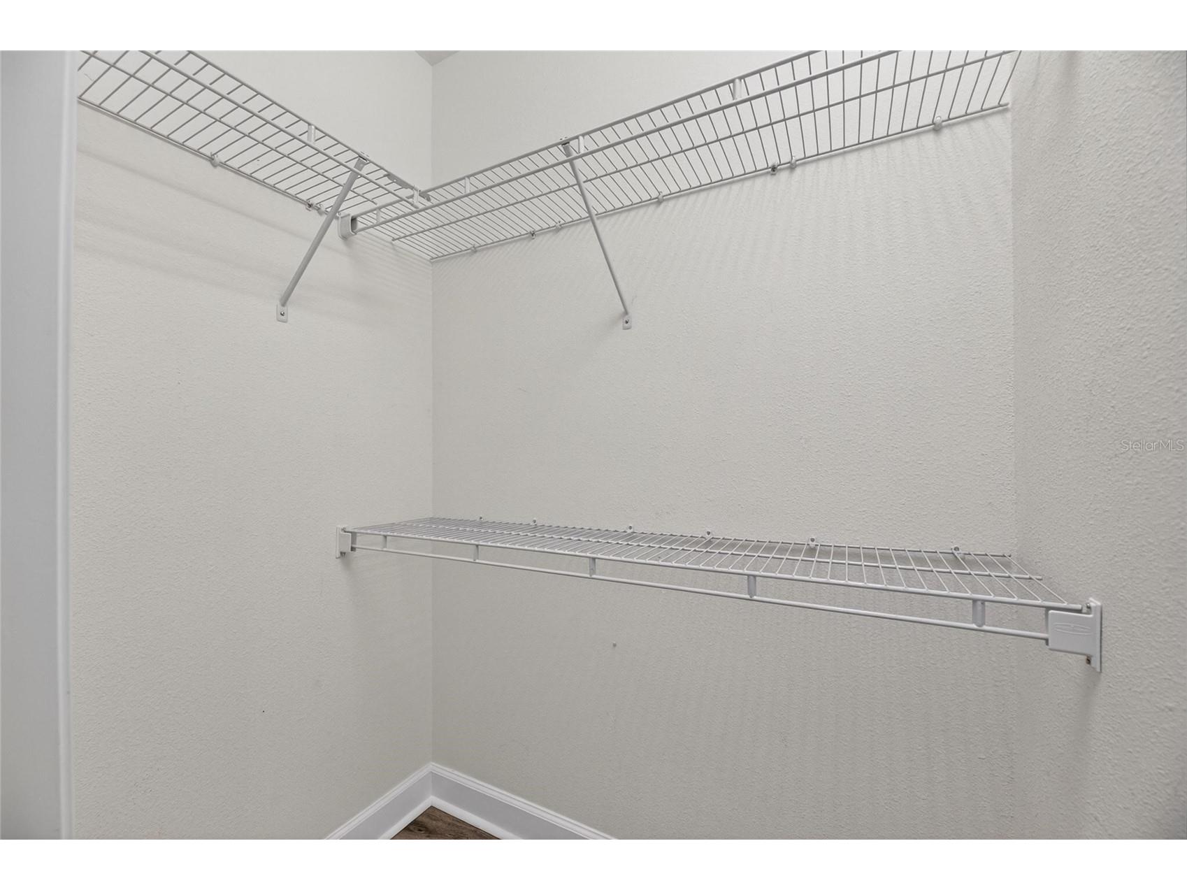 28511 Pleasant Bay Loop Wesley Chapel FL 33543 TB8516225 image58