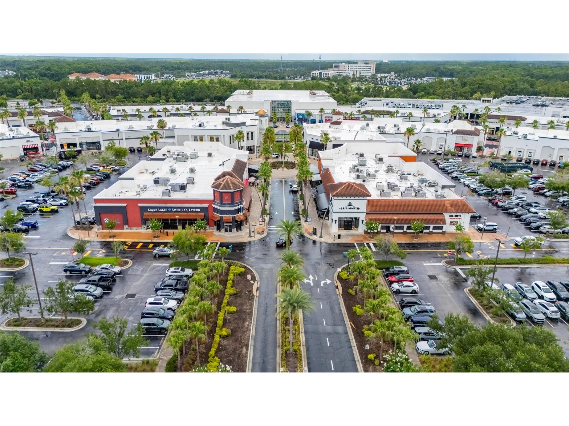 28511 Pleasant Bay Loop Wesley Chapel FL 33543 TB8516225 image92