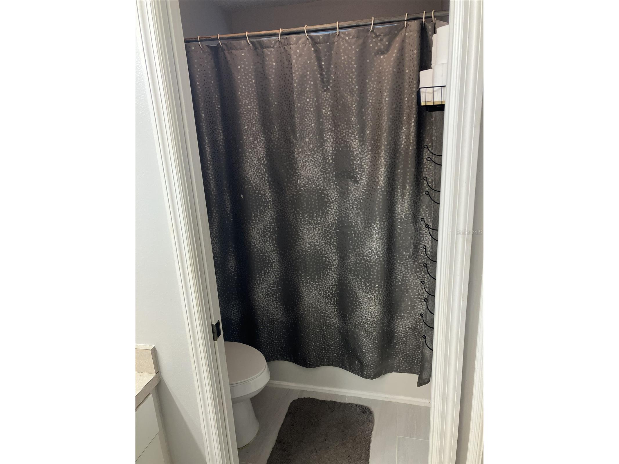 28511 Seashell Court Wesley Chapel FL 33545 TB8528908 image7