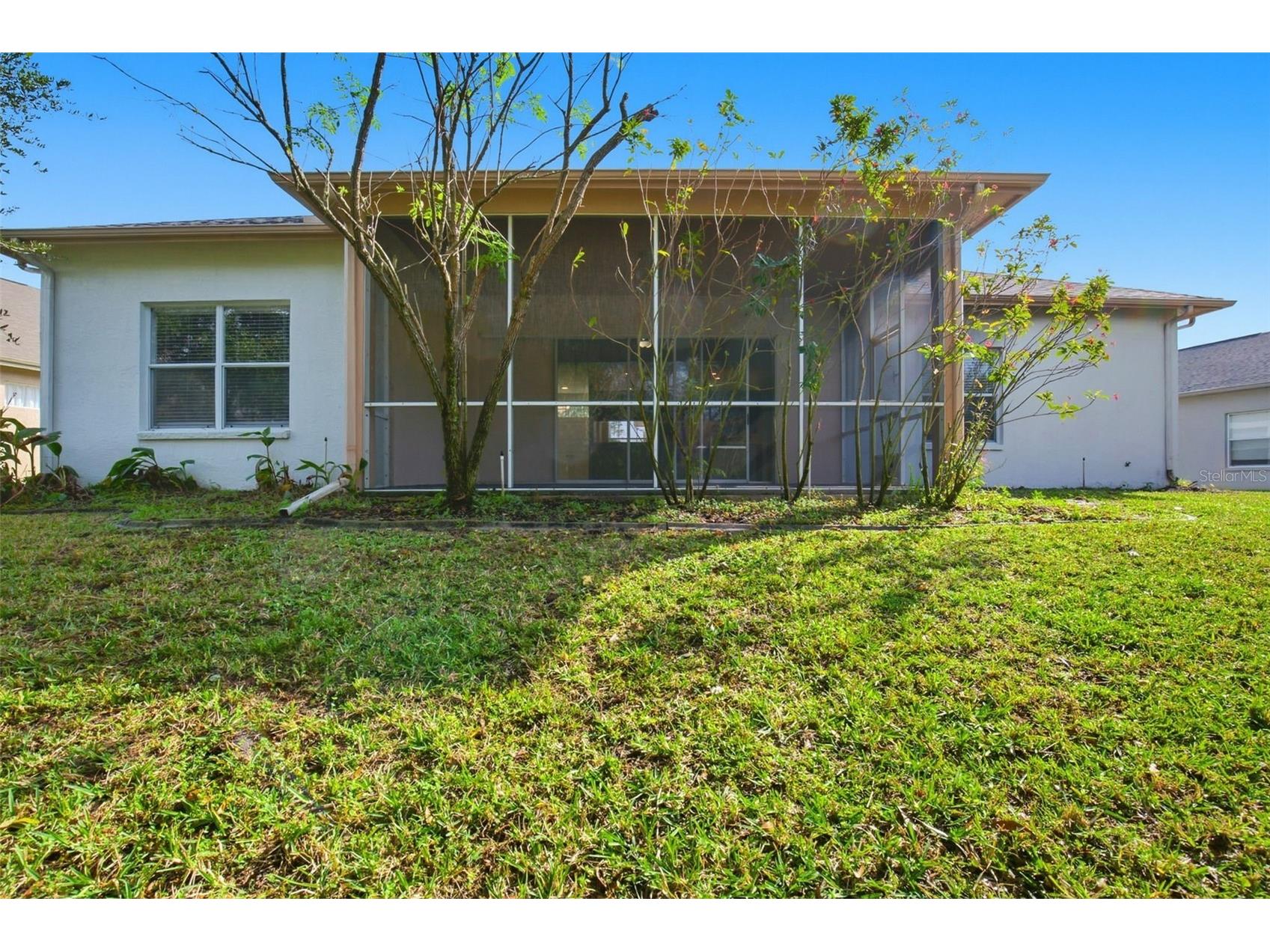 28516 Hanging Moss Loop Wesley Chapel FL 33543 O6372936 image34