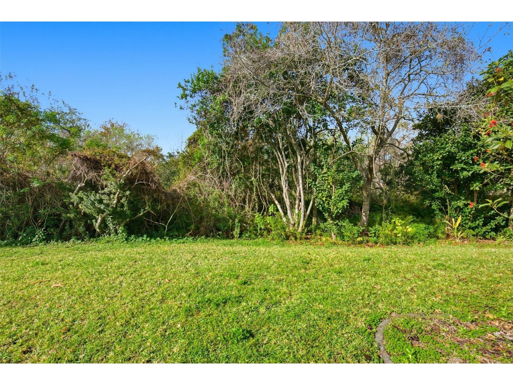 28516 Hanging Moss Loop Wesley Chapel FL 33543 O6372936 image35