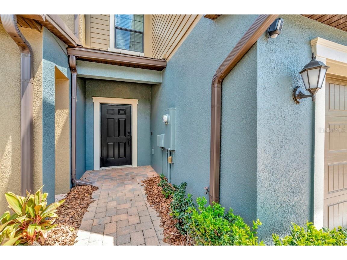 28516 Tranquil Lake Circle Wesley Chapel FL 33543 TB8380852 image2