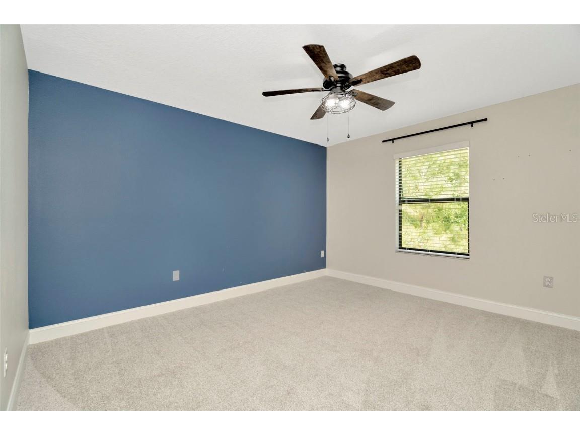 28516 Tranquil Lake Circle Wesley Chapel FL 33543 TB8380852 image22