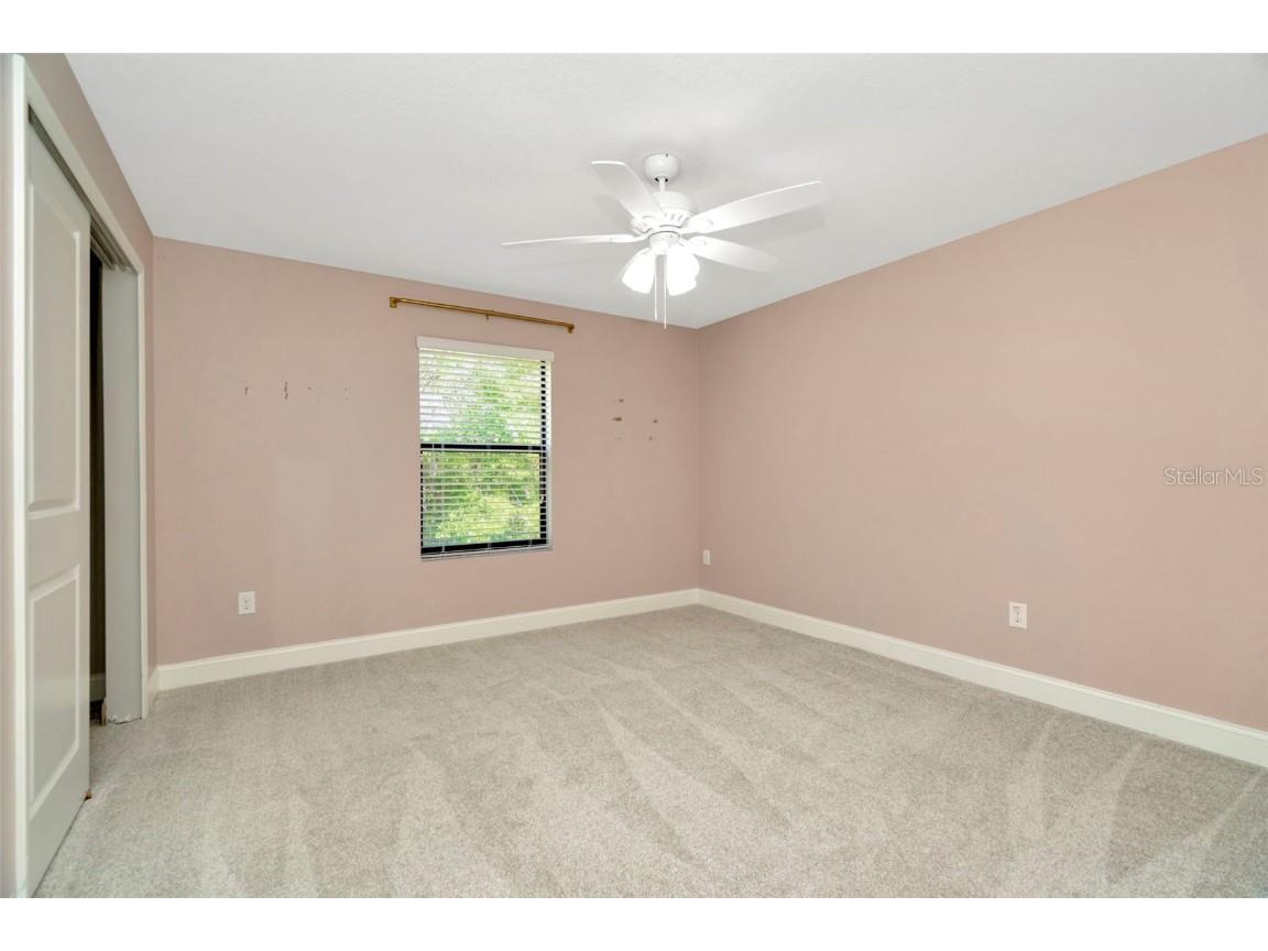 28516 Tranquil Lake Circle Wesley Chapel FL 33543 TB8380852 image24