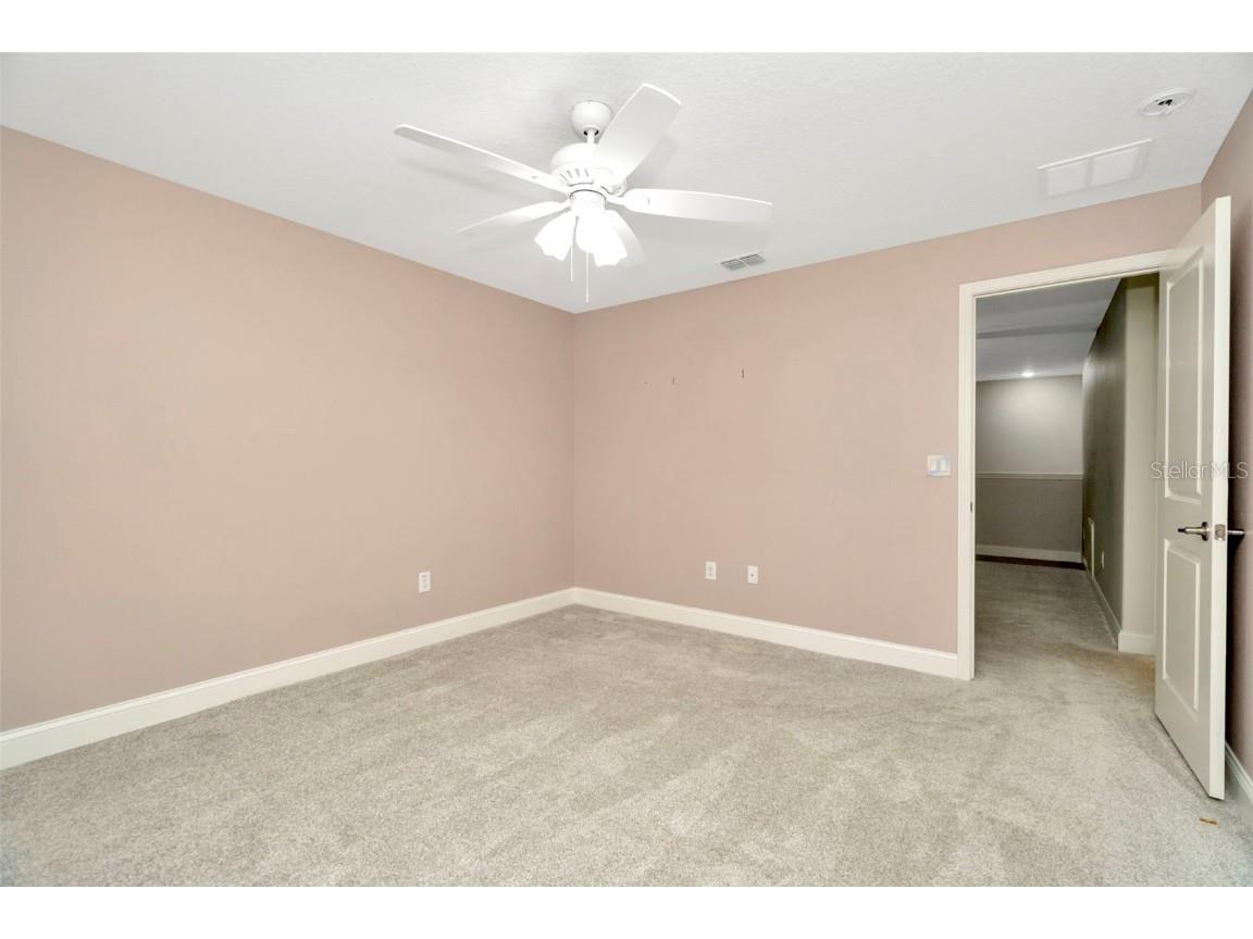 28516 Tranquil Lake Circle Wesley Chapel FL 33543 TB8380852 image26