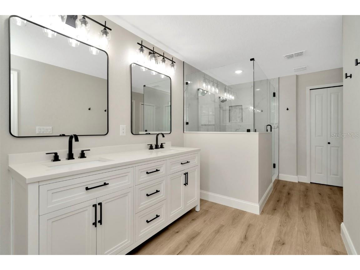 28516 Tranquil Lake Circle Wesley Chapel FL 33543 TB8380852 image30