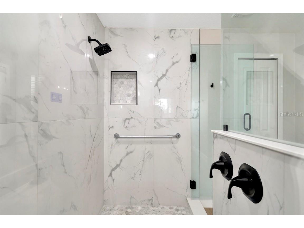 28516 Tranquil Lake Circle Wesley Chapel FL 33543 TB8380852 image33