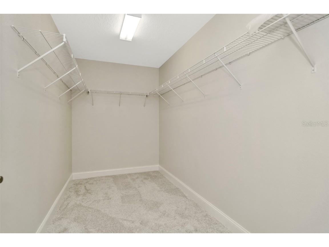 28516 Tranquil Lake Circle Wesley Chapel FL 33543 TB8380852 image34