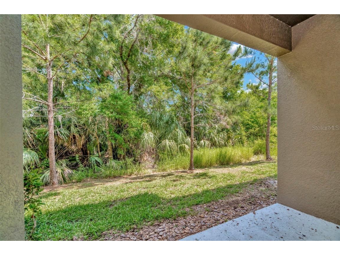 28516 Tranquil Lake Circle Wesley Chapel FL 33543 TB8380852 image35