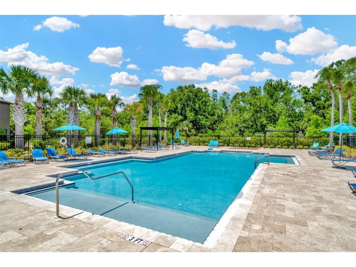 28516 Tranquil Lake Circle Wesley Chapel FL 33543 TB8380852 image5