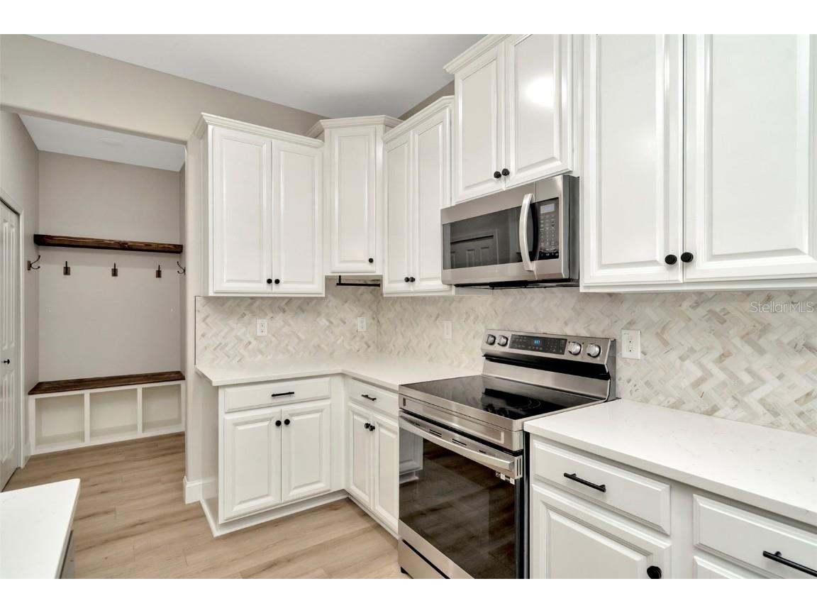 28516 Tranquil Lake Circle Wesley Chapel FL 33543 TB8380852 image7