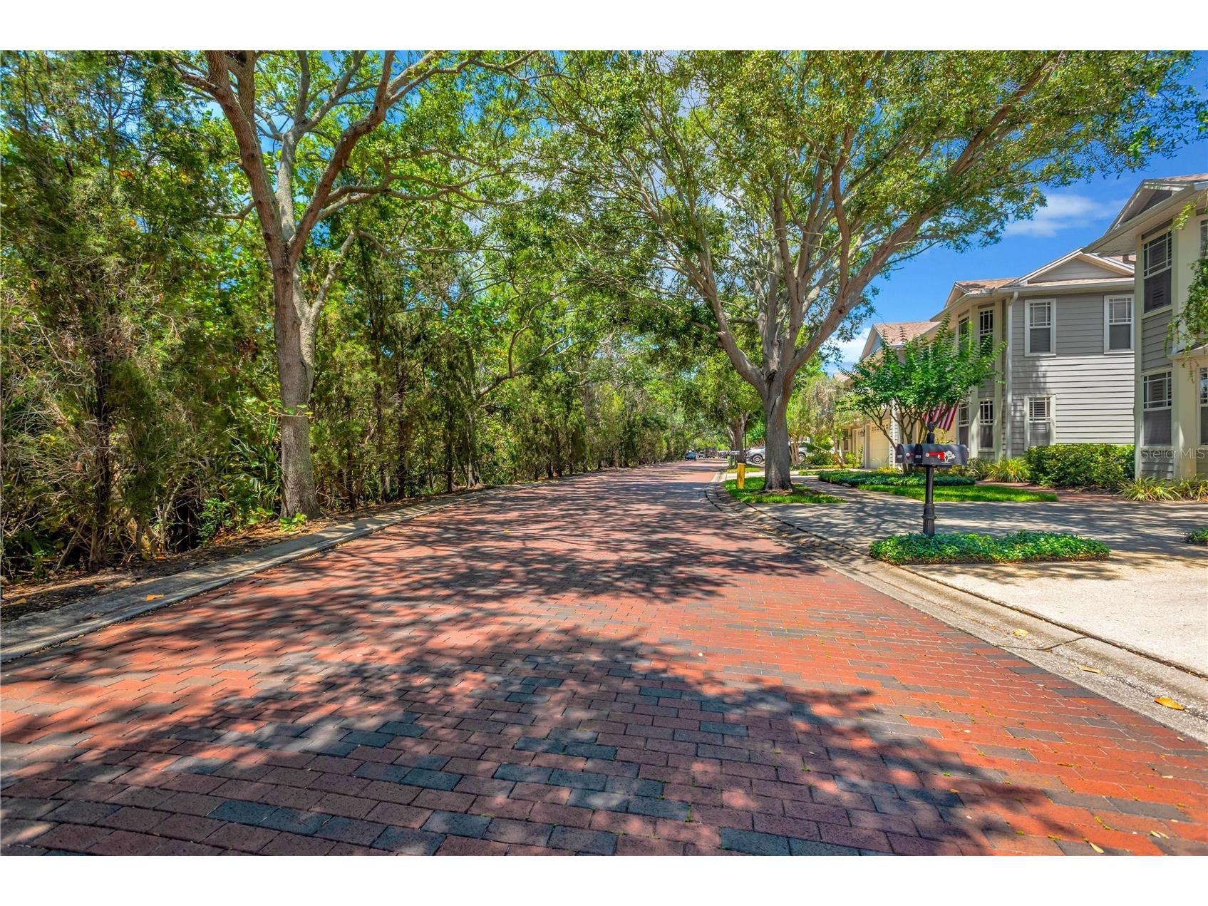 2852 Bayshore Trails Dr Tampa FL 33611 TB8511571 image40