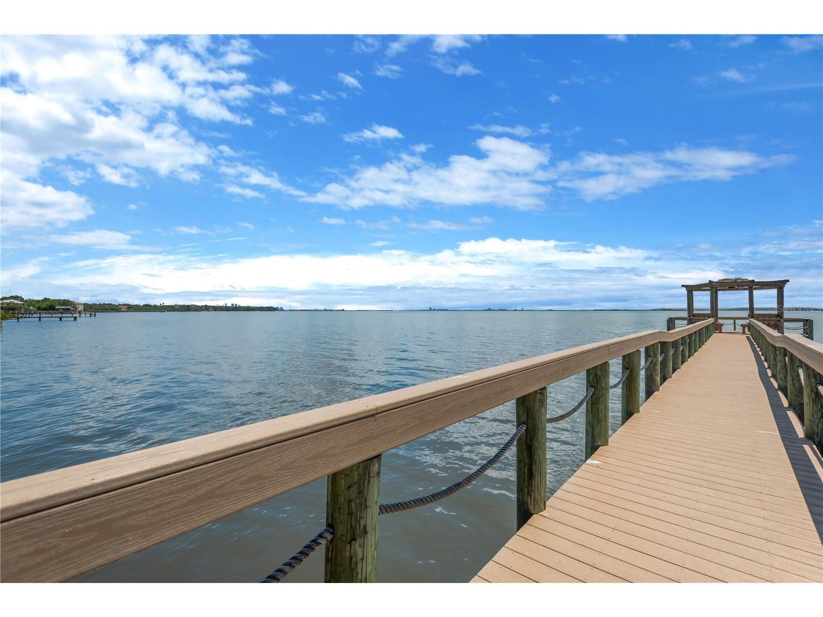 2852 Bayshore Trails Dr Tampa FL 33611 TB8511571 image42