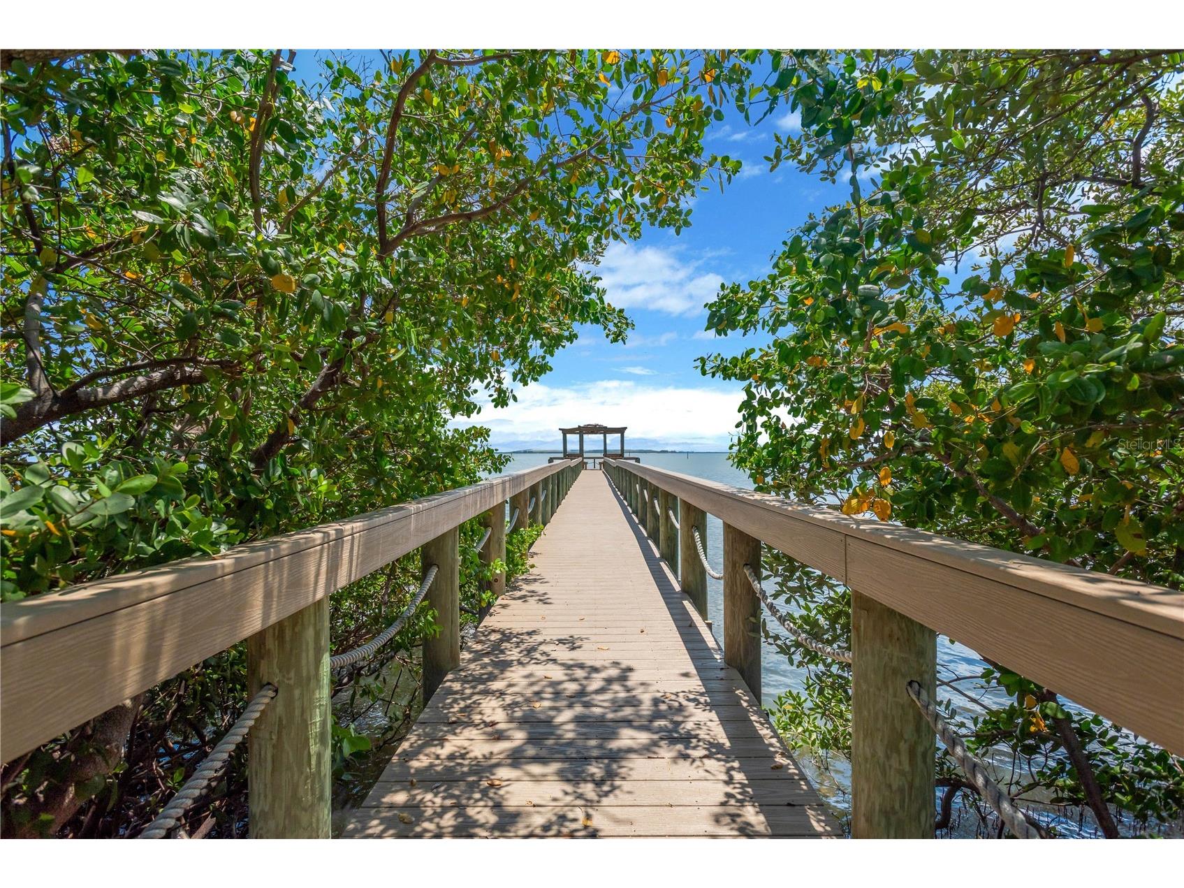 2852 Bayshore Trails Dr Tampa FL 33611 TB8511571 image43