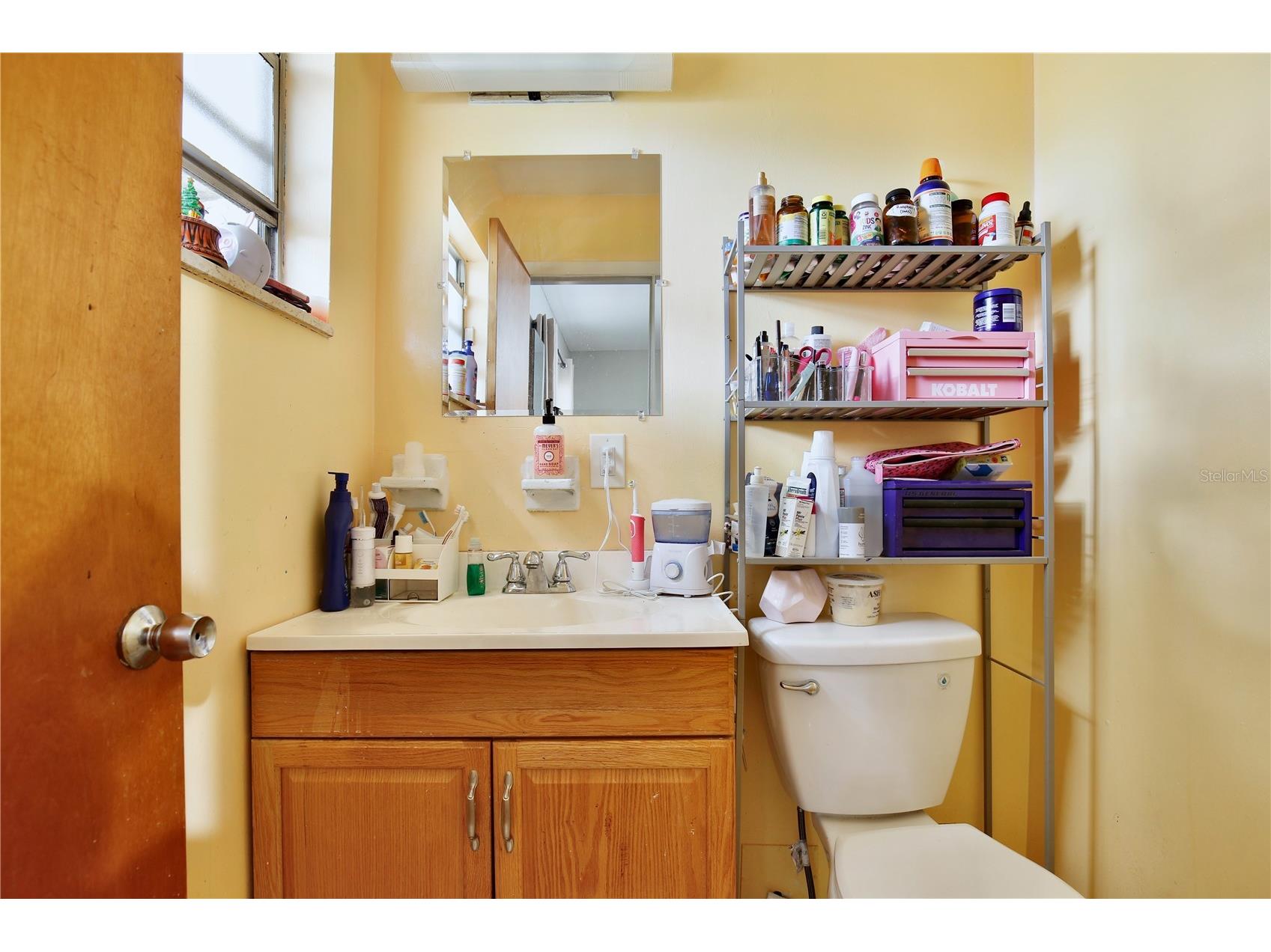 2852 Gale Place Sanford FL 32773 O6410571 image13