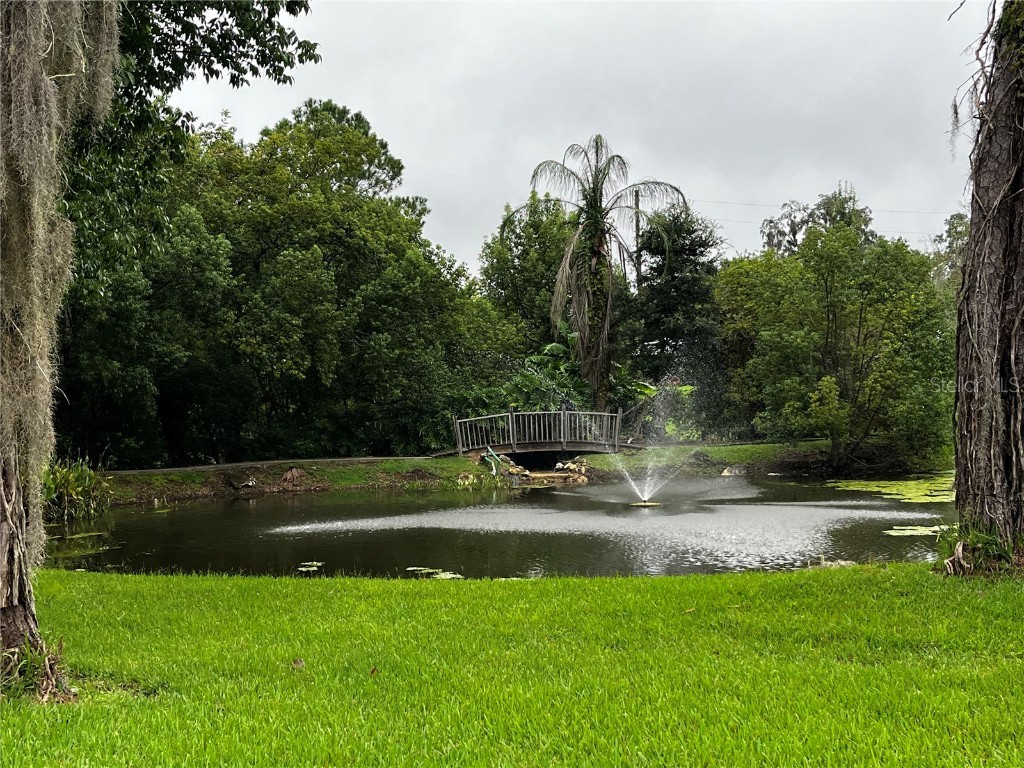 2852 NE 103rd Court Silver Springs FL 34488 - OCKLAWAHA RIVER O6241782 image19