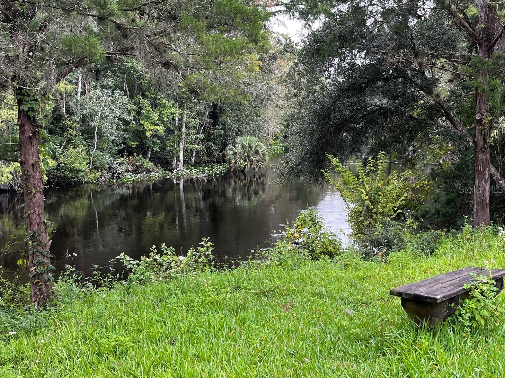 2852 NE 103rd Court Silver Springs FL 34488 - OCKLAWAHA RIVER O6241782 image21