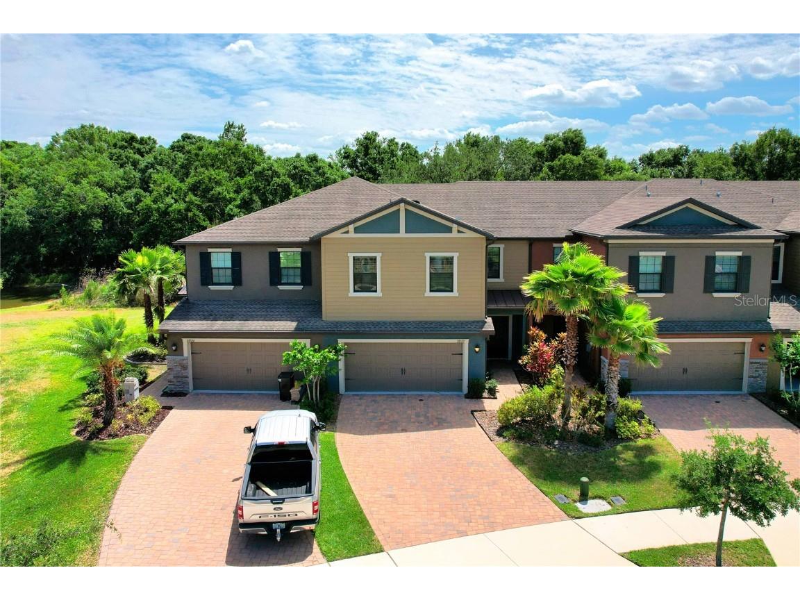 28522 Tranquil Lake Circle Wesley Chapel FL 33543 T3439285 image1
