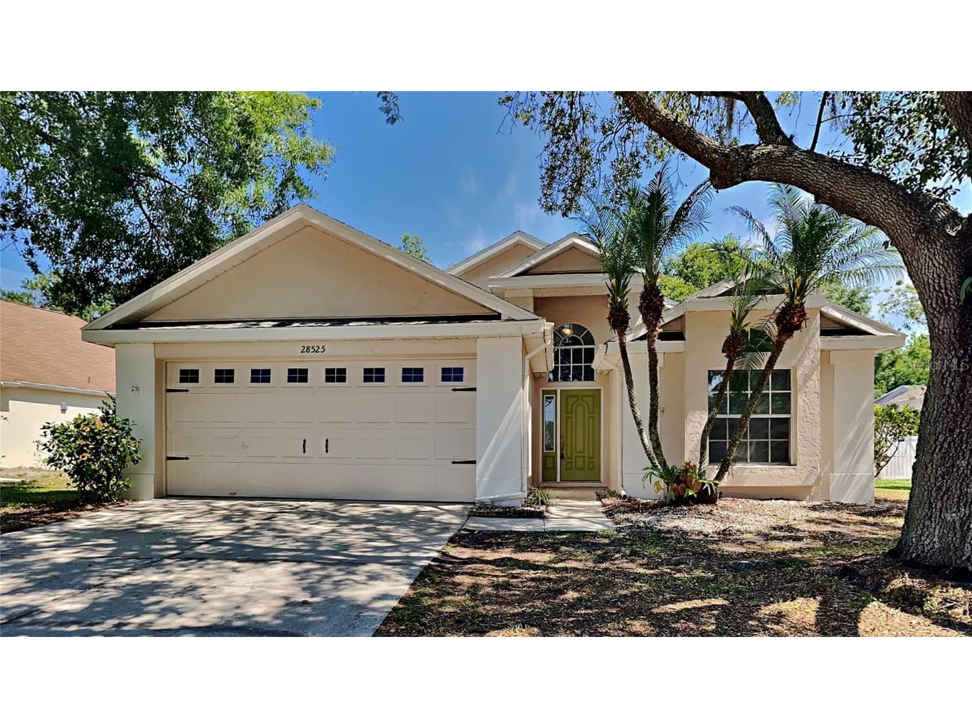 28525 Meadowrush Way Wesley Chapel FL 33543 T3526238 image1