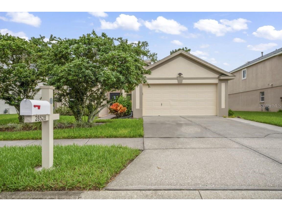 28528 Tall Grass Drive Wesley Chapel FL 33543 T3461152 image1