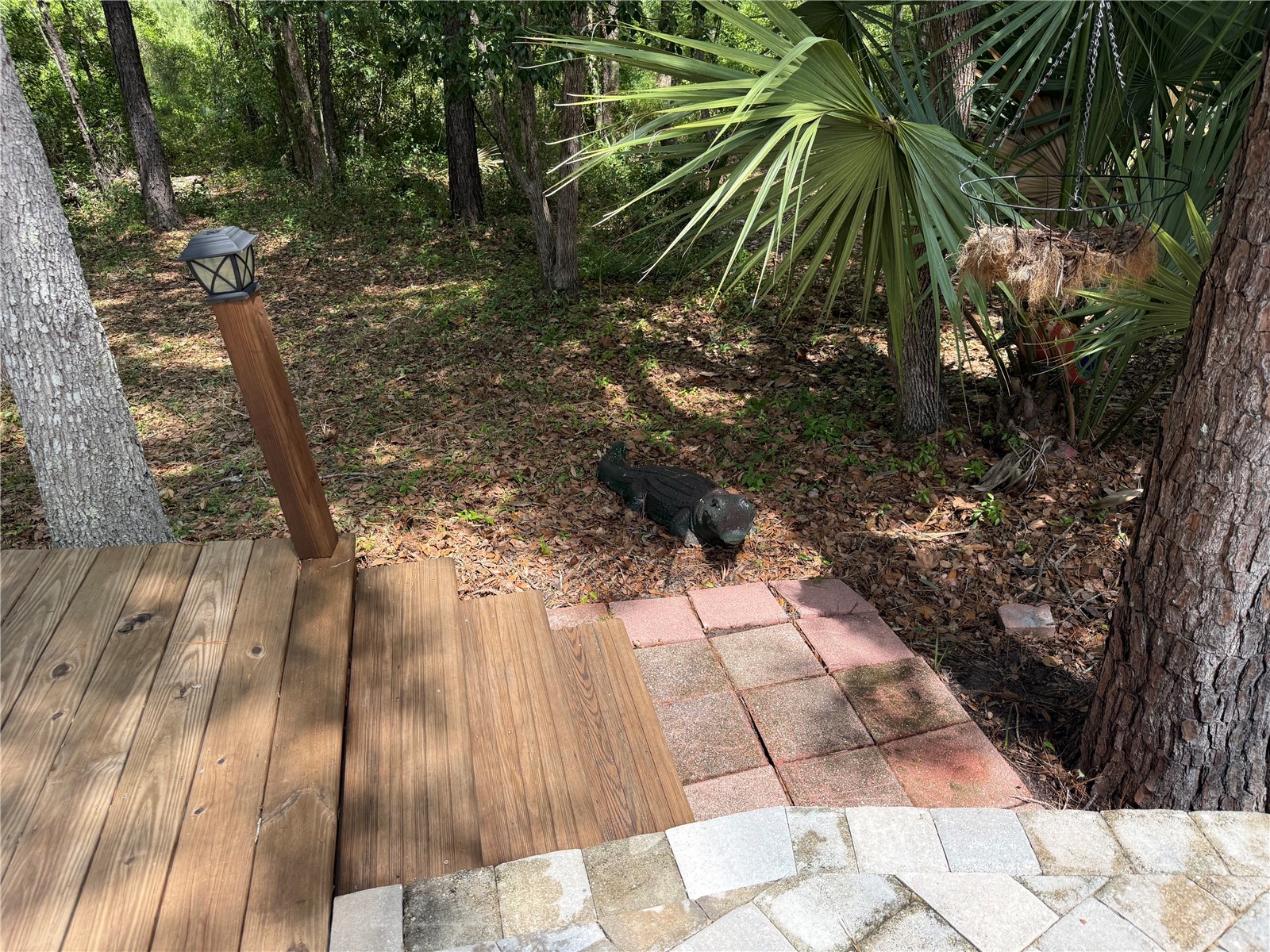 2853 NE 104th Terrace Silver Springs FL 34488 - OCKLAWAHA O6409716 image10