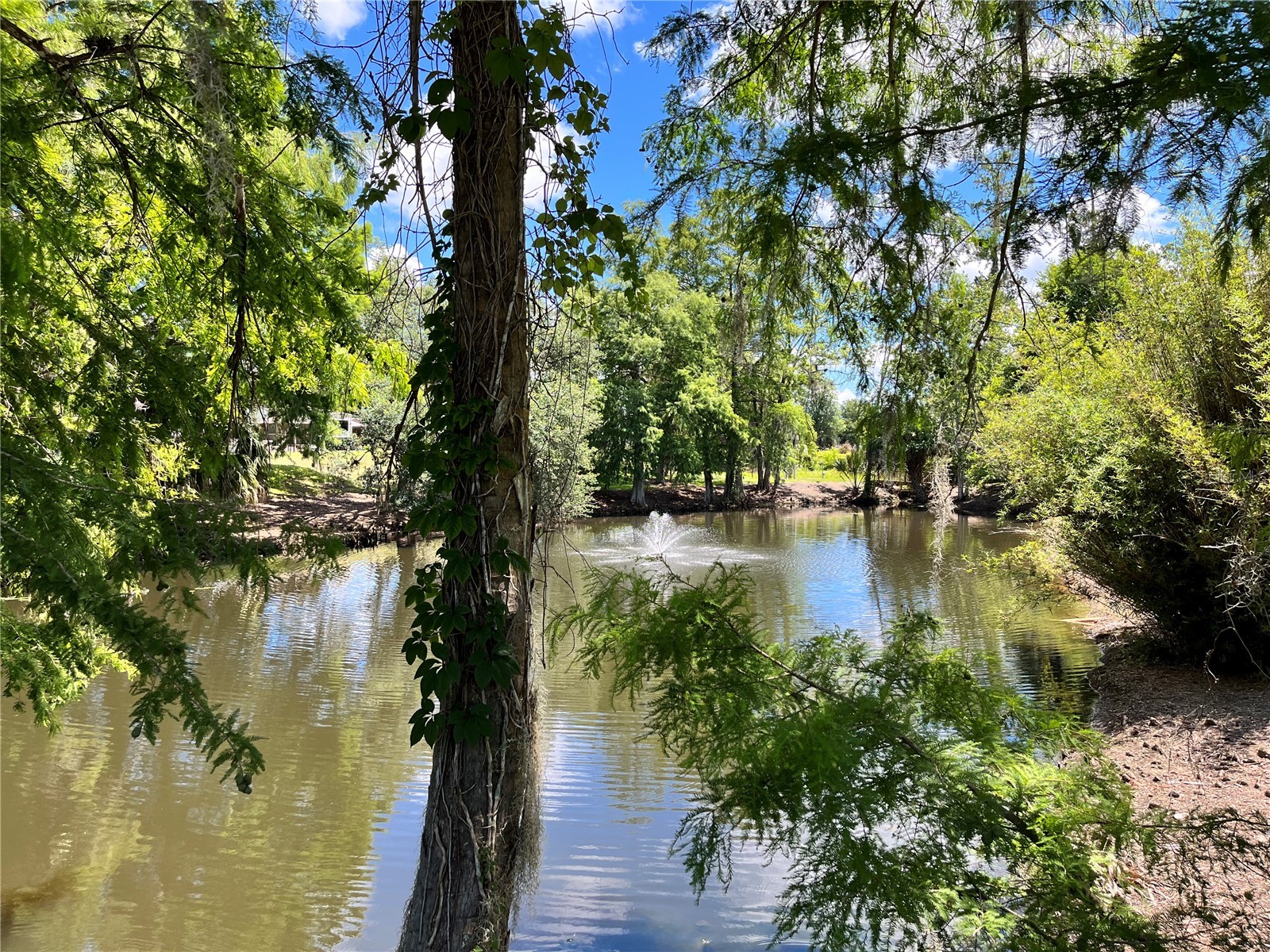 2853 NE 104th Terrace Silver Springs FL 34488 - OCKLAWAHA O6409716 image86