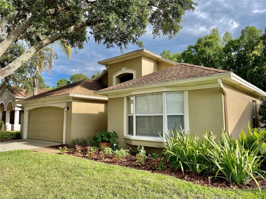 28534 Fairweather Drive Wesley Chapel FL 33543 U8245047 image1