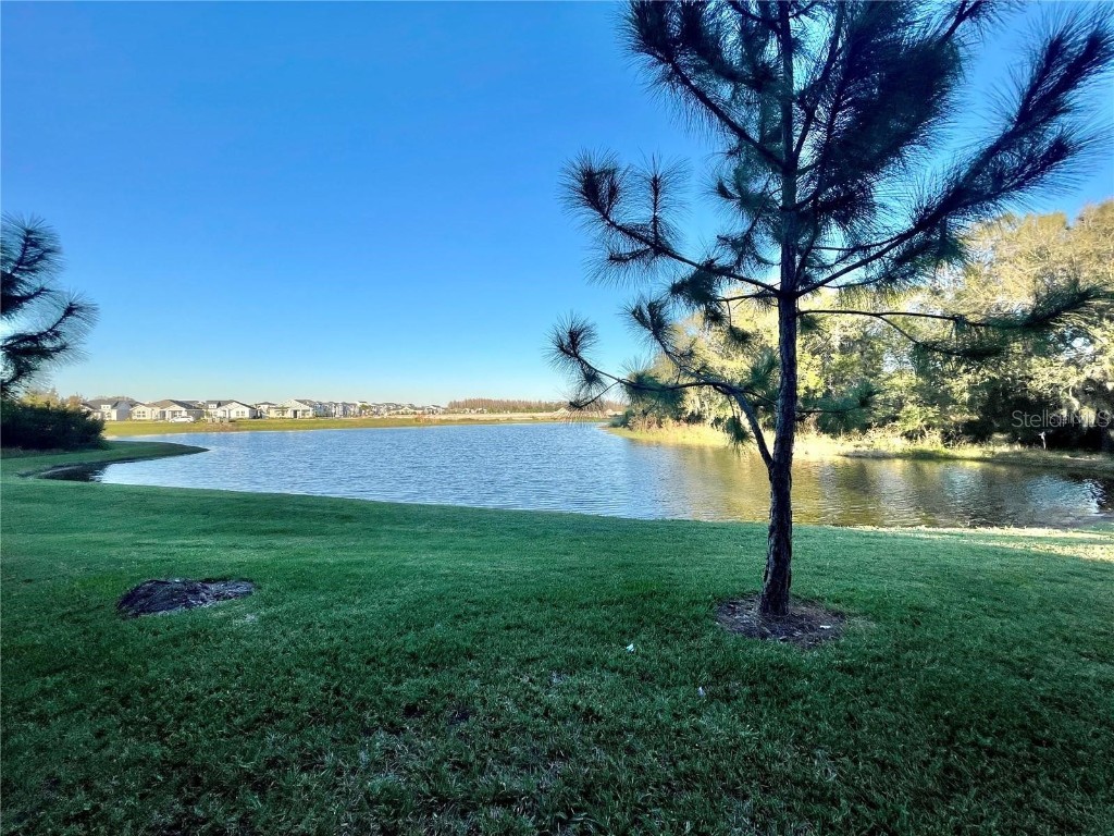 28536 Tranquil Lake Circle Wesley Chapel FL 33543 TB8454839 image10