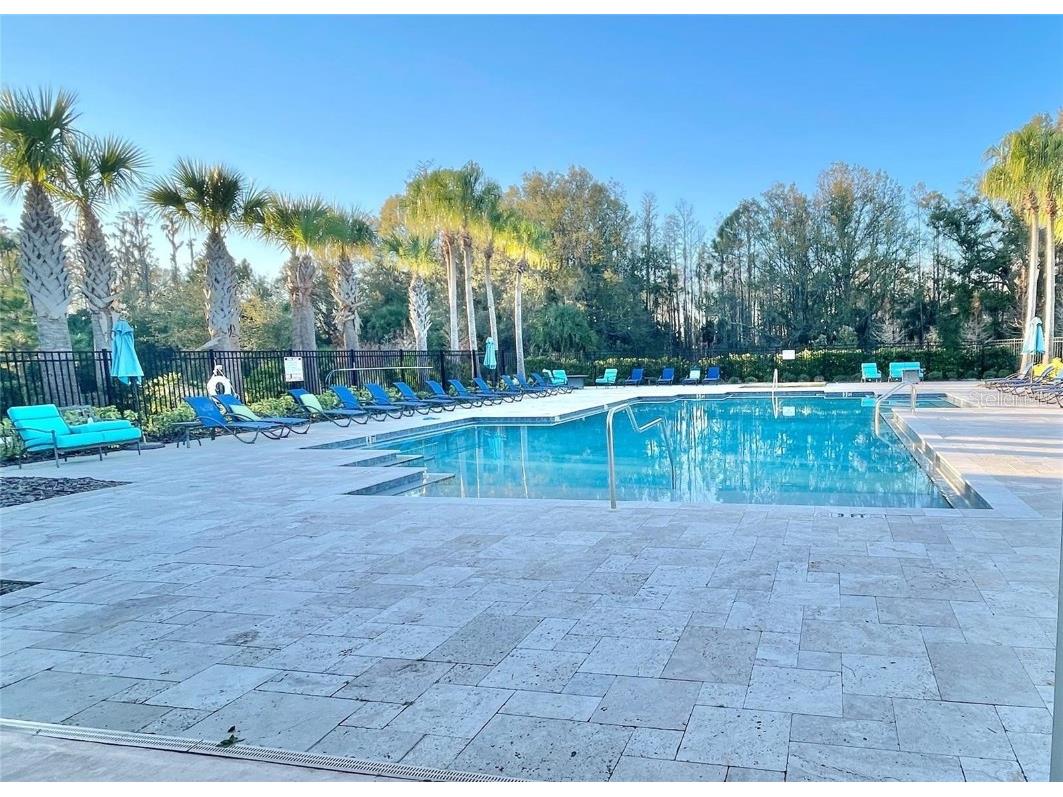 28536 Tranquil Lake Circle Wesley Chapel FL 33543 TB8454839 image11