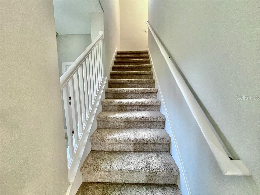 28536 Tranquil Lake Circle Wesley Chapel FL 33543 TB8454839 image4