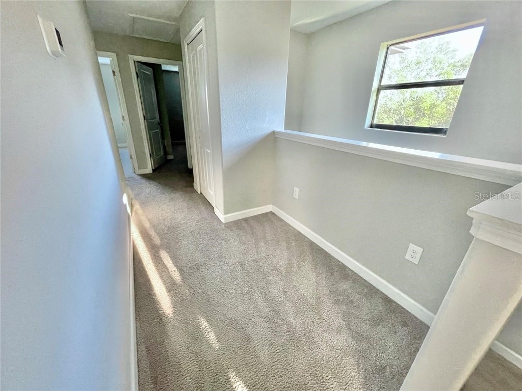 28536 Tranquil Lake Circle Wesley Chapel FL 33543 TB8454839 image7