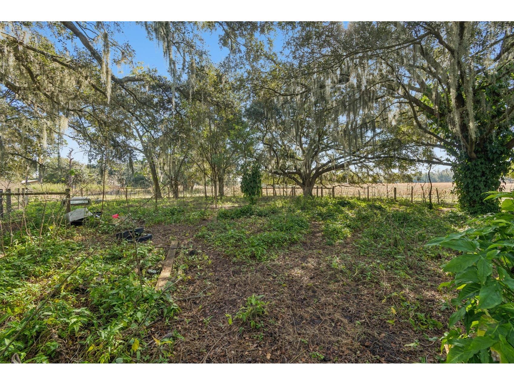 28538 Rice Road San Antonio FL 33576 TB8463035 image32