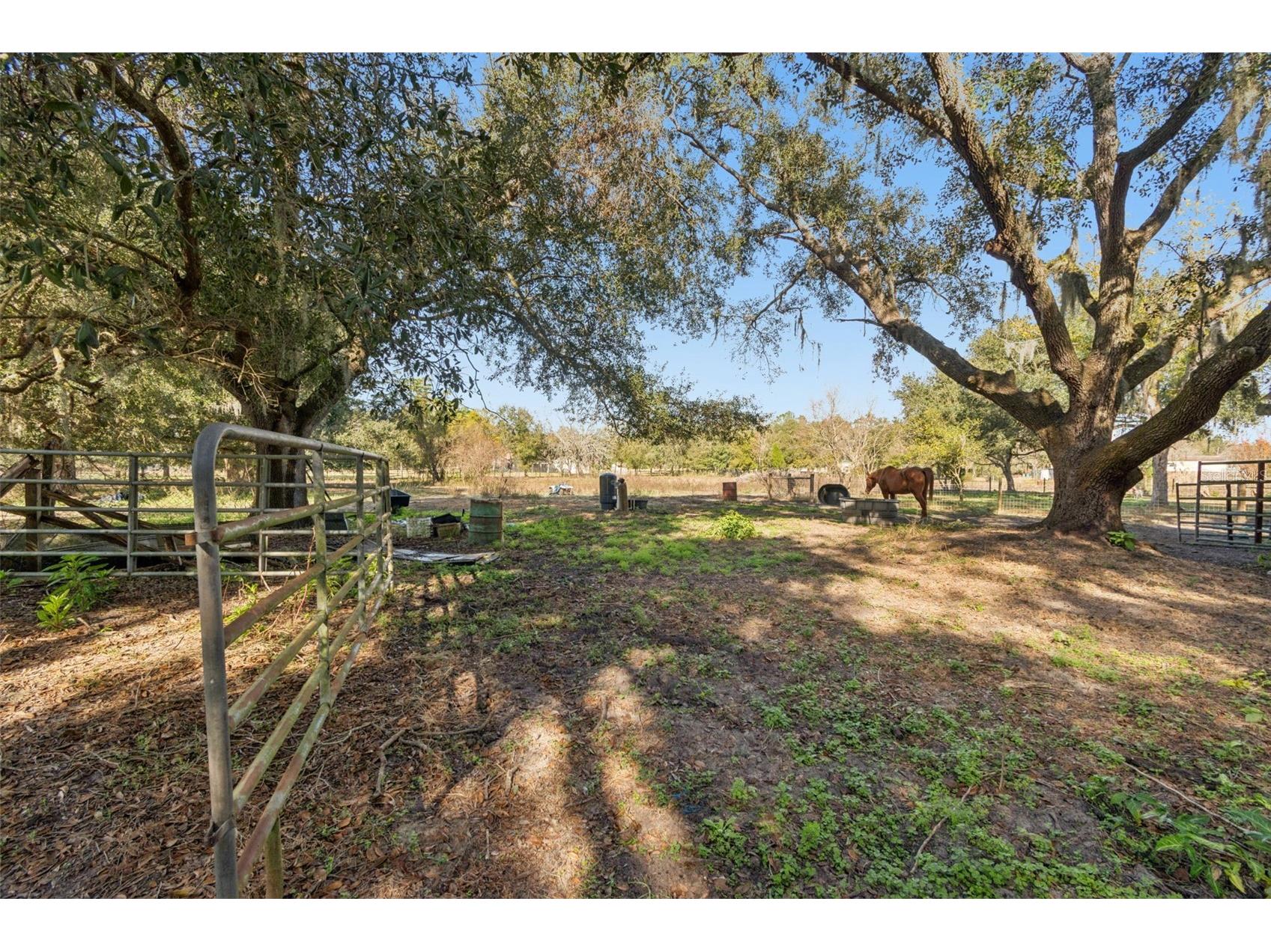 28538 Rice Road San Antonio FL 33576 TB8463035 image33